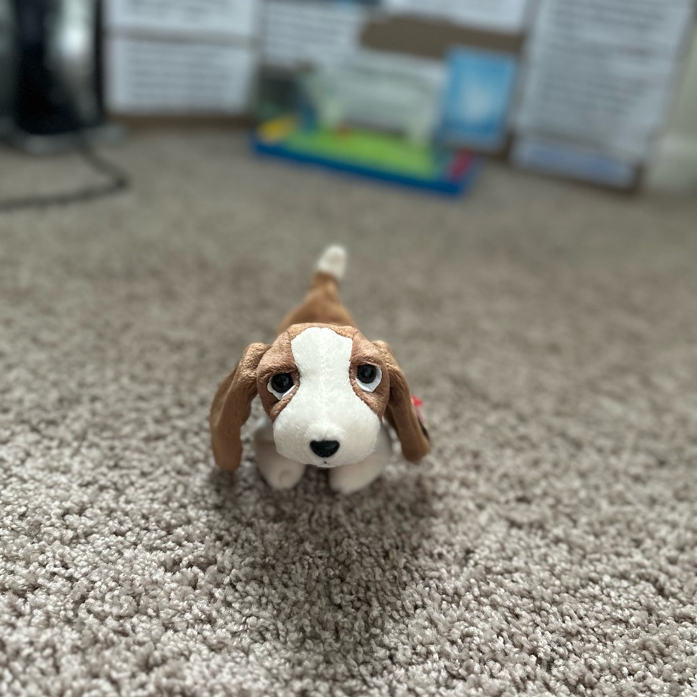 Ty Beanie Baby Original Tracker the Dog The Beanie Baby Collection Plush Toy.